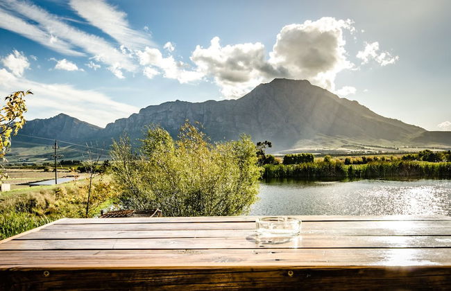 Reflections Guest Farm - Photo 39