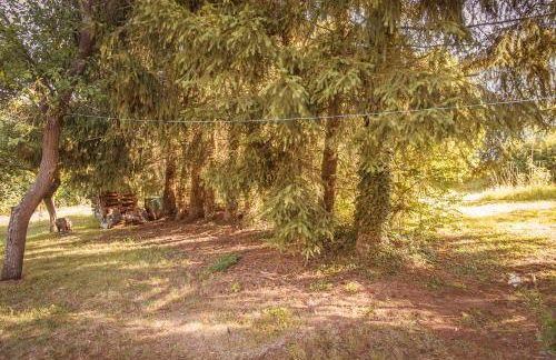 Lahnhaus Brühl/ Fende Haus - Foto 31