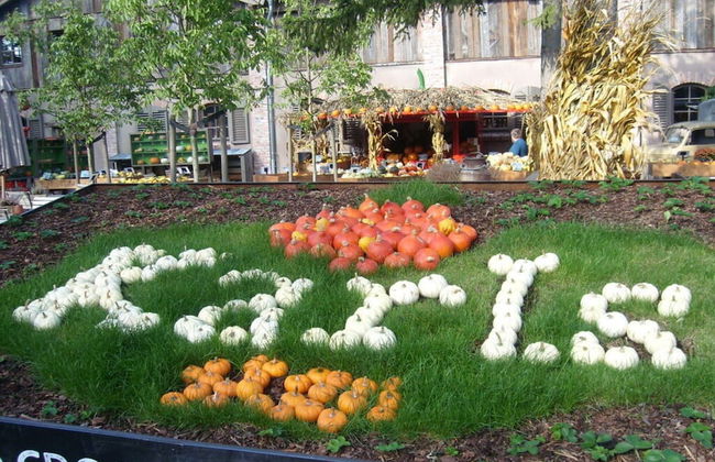 Holiday Apartment Grohnert - Foto 16