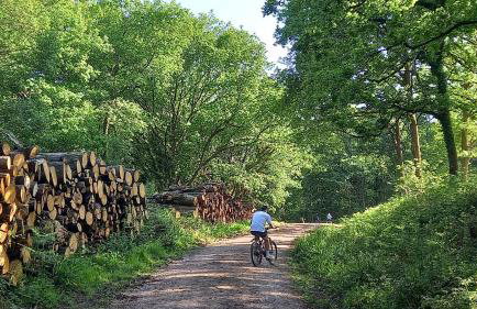 Keeper's Cottage - Photo 22