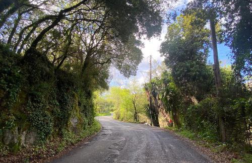 The Little Patio House - Foto 22