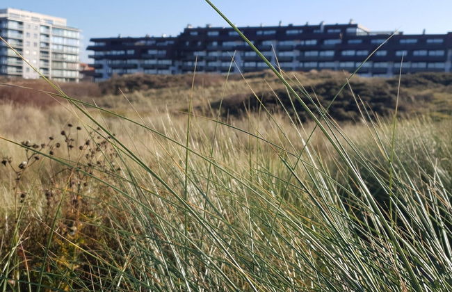 Apartment With Balcony and sea Views - Photo 22