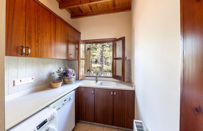 Troodos Mature Pine Chalet - Foto 33