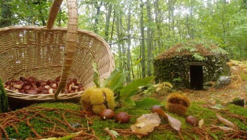 CASA RURAL MARGARITA I - Foto 3