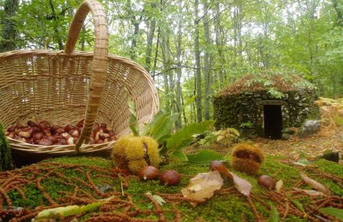 CASA RURAL MARGARITA I - Foto 3