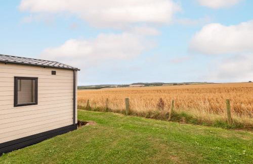 Lodge No 19 - St Andrews Lodge Park - Foto 23