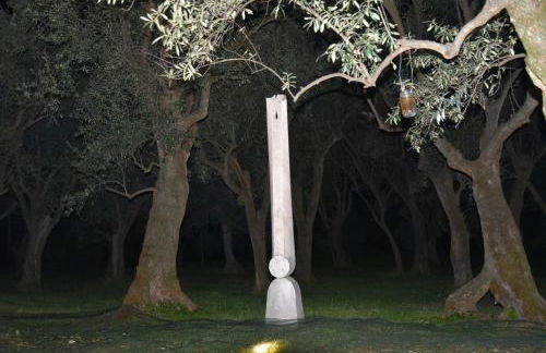 Antico Uliveto - Foto 57