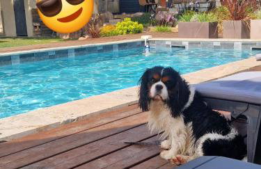 casasantellix - Foto 11