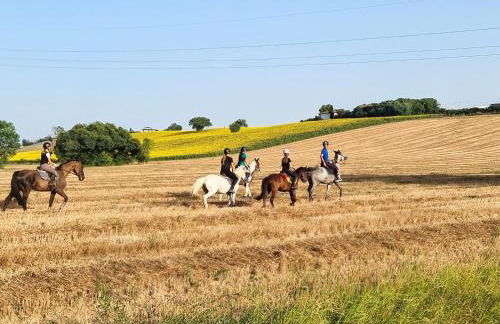 Agriturismo Rosa Antica - Foto 38