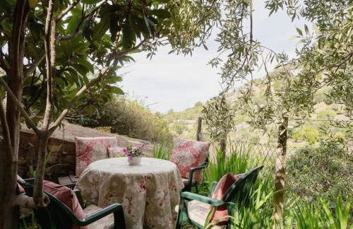 Ca'n Nicolau - Foto 2