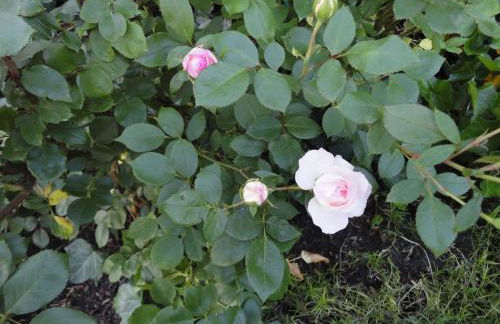 Gasthof Reiterstuben - Foto 77