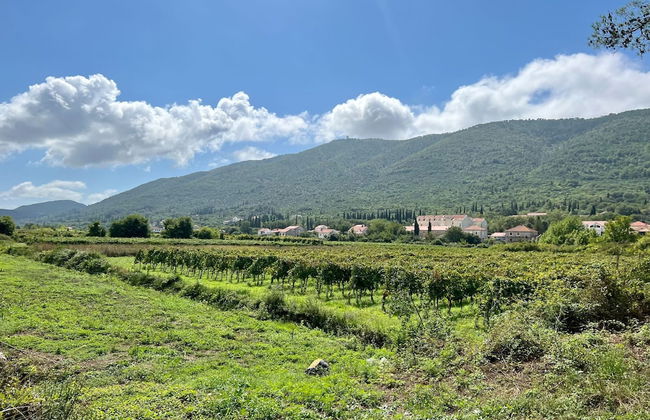 Apartments Lavilla - Foto 36