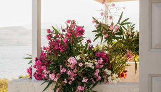 Little Bird Lesvos - Foto 2