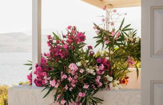 Little Bird Lesvos - Photo 2