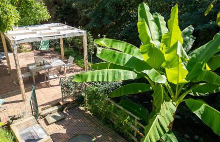 Mulino La Pietra - Foto 20