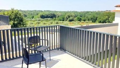Villa Salvore - new luxury house, heated pool, near beaches, playroom - Istria - Foto 4, Garden