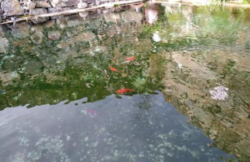 Casa da Quinta do Porto - Foto 21