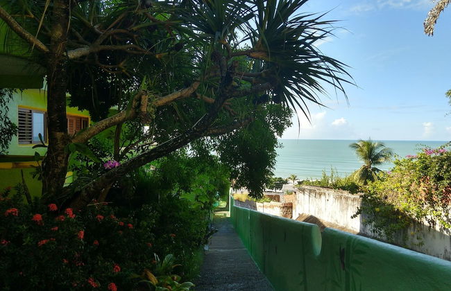 Bamboo Flat Residencial - Photo 76