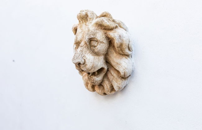 HN Gaviota - Photo 28