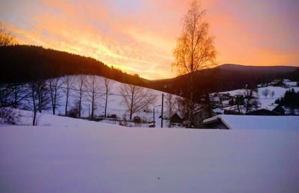 Ferienwohnung-Rothen-Adler - Foto 28