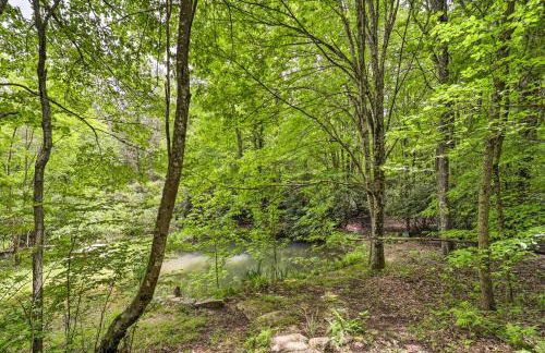 Pond On-Site! Dog-Friendly Blue Ridge Mtn Retreat - Foto 27