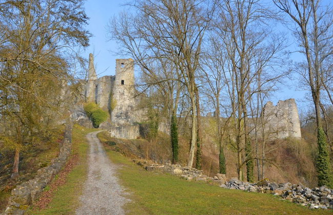 Holiday Home in Falaen Near Montaigle Castle - Foto 33