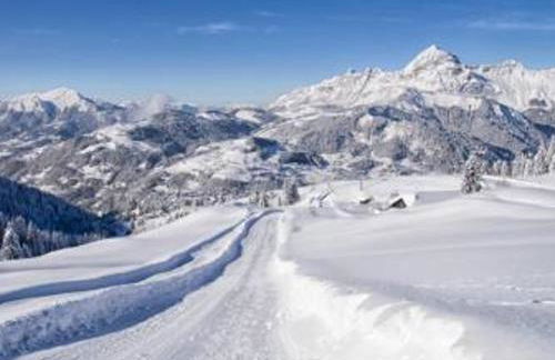 Charmant Mazot Savoyard avec WIFI et Animaux Acceptés - FR-1-505-217 - Foto 20