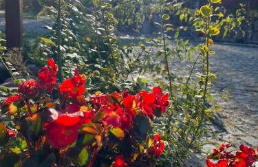 Drewniany Domek w Zakątku Andrzeje Śniczany 18 - Photo 4