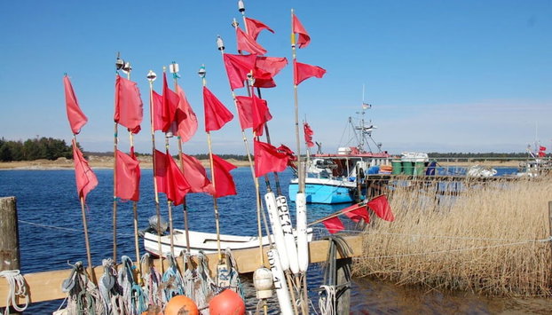 Holiday Home Der Schwelmer - Foto 2, Habitación