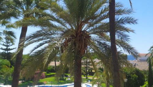 Margarita - Photo 5, Garden view