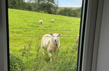 Ladybird Cottage - Foto 10