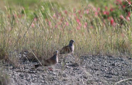 Agriturismo Cantagalli - Foto 121