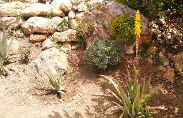 Roussa's House - Foto 47