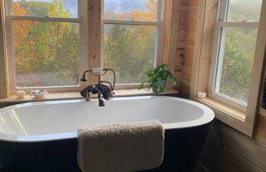 Cabin with a view in Hot Springs—walk to AT - Foto 1