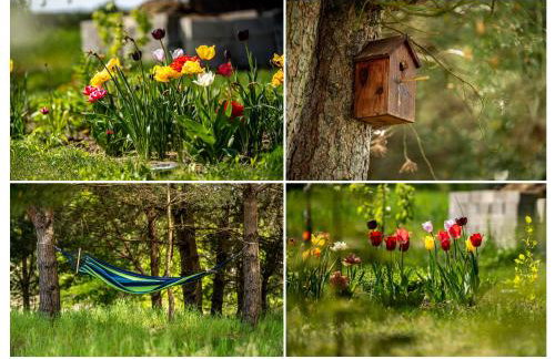 Kiton House - Foto 16