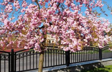 Noclegi Dobrzeń Wielki - Foto 16