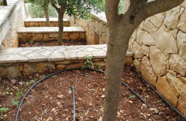 Villa Clio - Foto 50