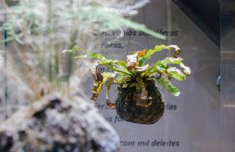 Casa Luís de Camões - Boutique & Literary House - Foto 7