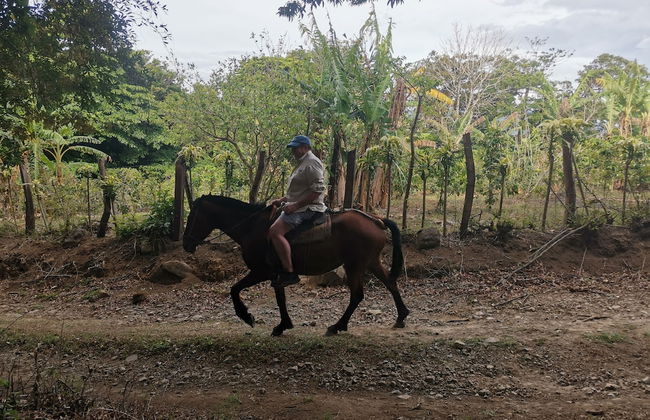 Campos de Oro Wilderness Lodge - Photo 53