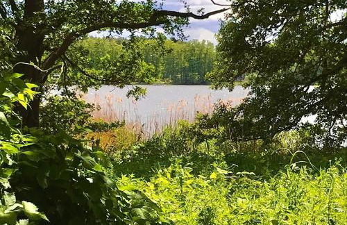 Finnhütte Seeblick an der Elbe - Foto 18