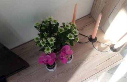 Jordanapartment - Photo 9