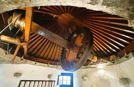 Moinho do Avô João - Foto 46