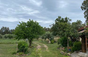 L'Uliveto HOLIDAY HOUSE - Photo 49