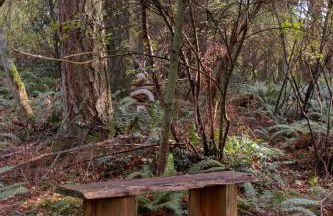 Water Views, Walk to Beach! New Hot Tub! - Foto 58