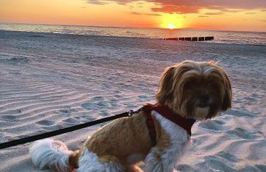 Domki pod gwieździstym niebem - Foto 36