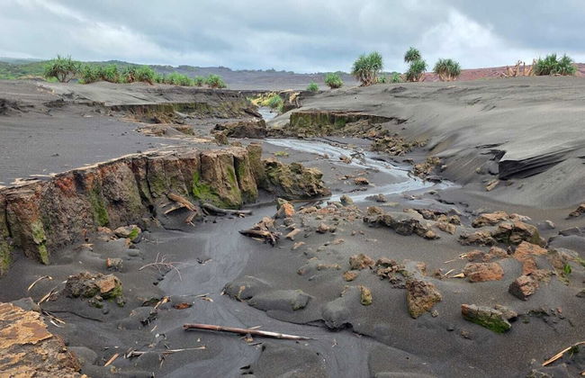 Glowing view tree house and Bangalow - Foto 8