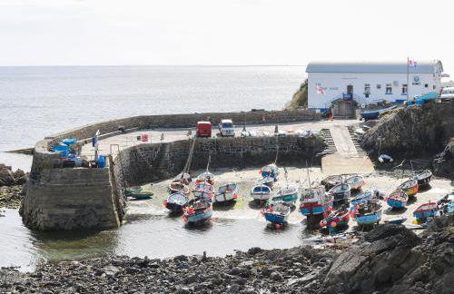 Gannet Watch - Foto 16