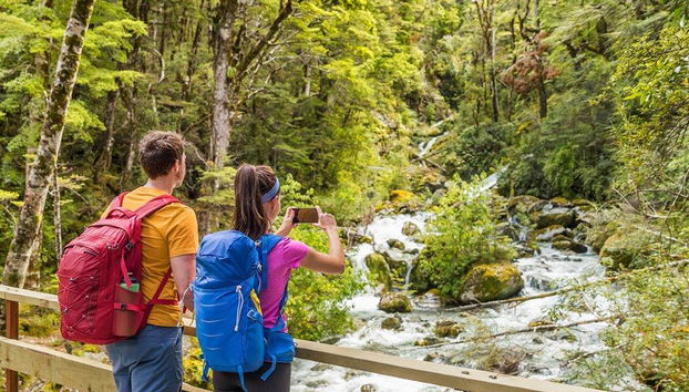 Der Routeburn Track - Geführter Ganztages-Wanderung - Foto 5