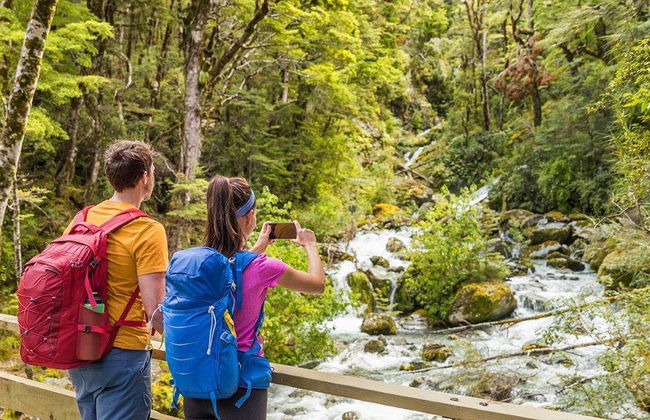 Der Routeburn Track - Geführter Ganztages-Wanderung - Foto 5