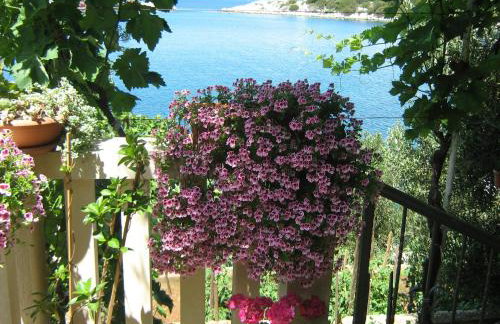 Apartments by the sea Zaklopatica, Lastovo - 8346 - Foto 12